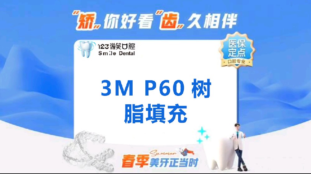 3M P60树脂填充